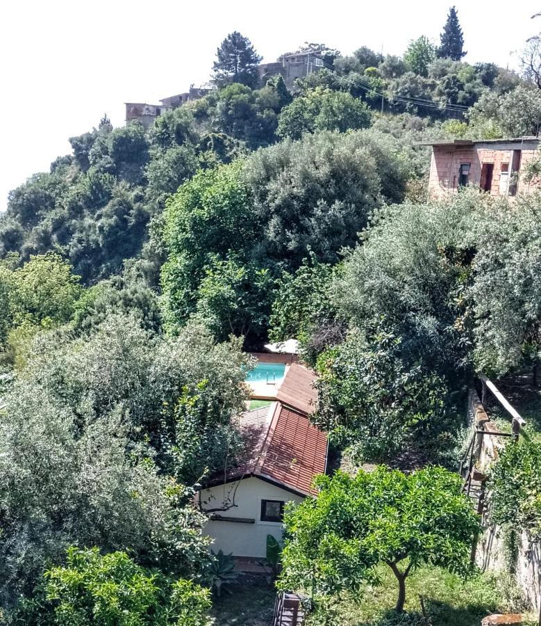 Flat With Panoramic Terrace And Private Pool Mt5X3 Apartment Taormina Exterior foto